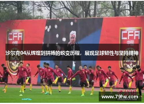 沙尔克04从辉煌到拼搏的蜕变历程，展现足球韧性与坚持精神