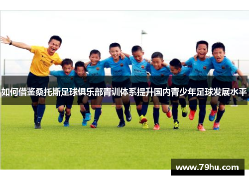 如何借鉴桑托斯足球俱乐部青训体系提升国内青少年足球发展水平